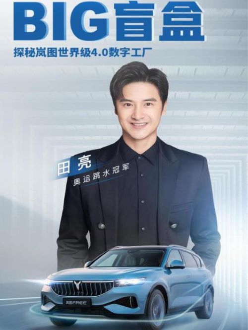 岚图盲盒商务活动