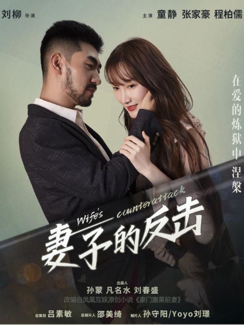 《妻子的反击》