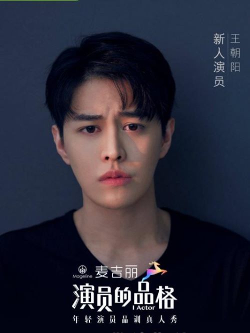 《演员的品格》综艺