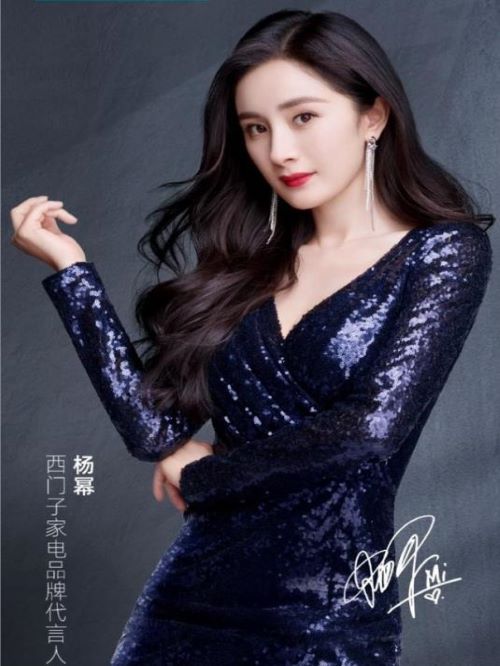西门子家电代言
