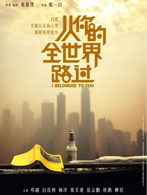 《从你的全世界路过》