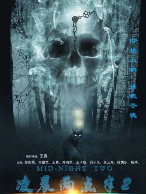 凌晨两点半2,广告植入公司,电影广告植入公司,凌晨两点半2电影广告植入13466609726万事成传媒,影片讲述了一群人为了寻找宝藏，不远千里来到千古传说的聚魂灵山，传说聚魂灵山有去无回，千年来陆续进入聚魂灵山的人相续失踪