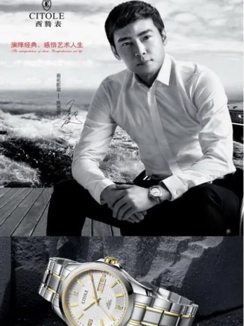 西腾表形象代言