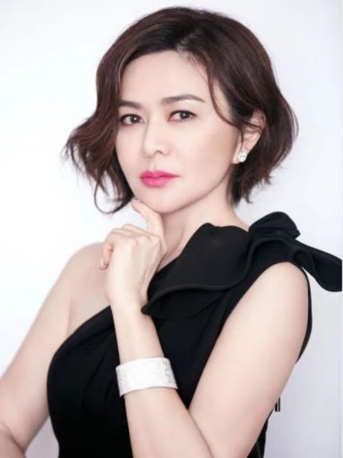 关之琳（Rosamund Kwan），1962年9月24日出生在香港，香港女演员。
1981年，主演电视剧《甜甜廿四味》，从而正式出道。1982年，主演自己的第一部电影《猎头》。1985年，出演动作片《夏日福星》。1988年，主演爱情片《三人世界》。
1990年，主演文艺片《婚姻勿语》，凭借该电影，获得香港电影金像奖最佳女配角的提名 。1991年，29岁的关之琳凭借在电影《黄飞鸿》中饰演“十三姨”一角，而被观众所熟知。1992年，主演电影《黄飞鸿：2》。1993年，主演电影《黄飞鸿：3》。1997年，主演电影《黄飞鸿之西域雄狮》。
2001年，主演电影《大腕》。2002年，主演电影《蓝血人》。2005年，主演电影《做头》。2010年，关之琳宣布正式息影。