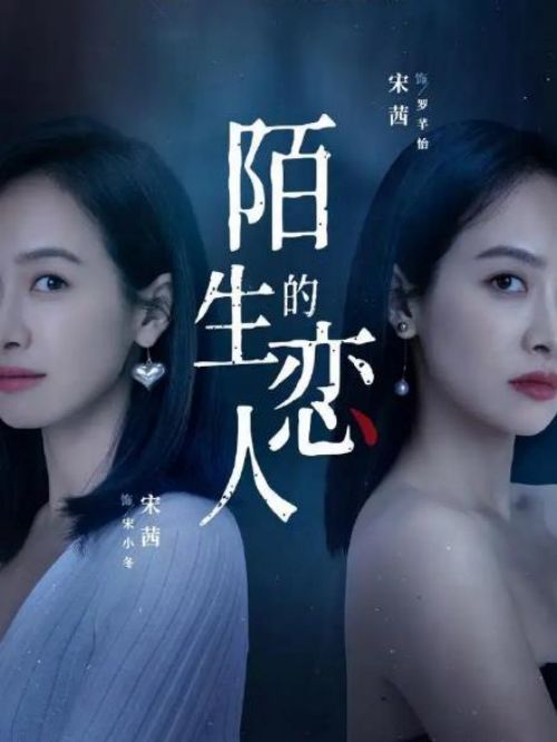 《陌生的恋人》