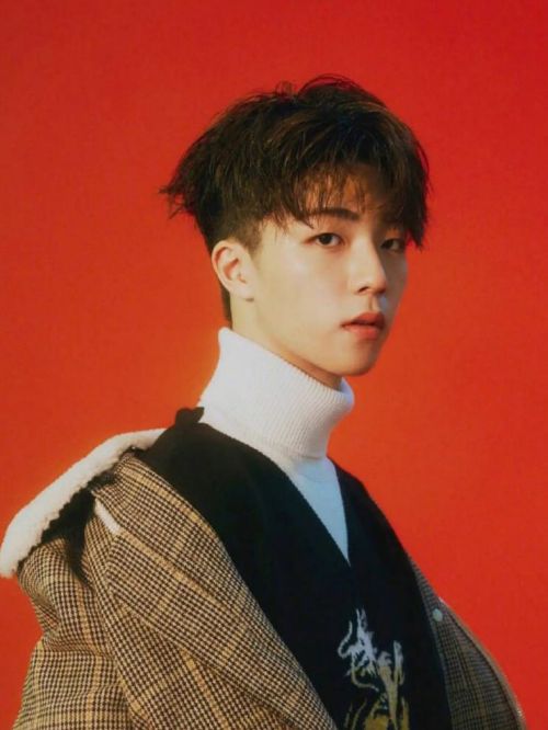 陈立农，2000年10月3日出生于台湾省高雄市，中国台湾流行乐男歌手、影视演员。
2018年，参加爱奇艺偶像男团竞演养成类真人秀节目《偶像练习生》，获得第2名，并加入男子演唱组合NINE PERCENT；5月5日，随NINE PERCENT在上海举行巡演首站；6月20日，为电影《解码游戏》演唱同名主题曲；9月，参加生活纪实观察类慢综艺《Hi室友》；10月3日，推出个人单曲《我是你的》 ；11月，参加真人秀节目《完美的餐厅》；11月20日，随NINE PERCENT推出组合首张音乐专辑《TO THE NINES》。2019年1月1日，推出个人单曲《一半是我》；1月5日，为电视剧《幕后之王》演唱片头曲 ；其后，主演古装奇幻电影《赤狐书生》；10月31日，推出个人单曲《专属合约》；11月19日，正式成为环球音乐签约歌手。2020年1月1日，加盟环球音乐后的首支音乐作品《幸福特写》上线；5月29日，发行首张个人专辑《格格不入》。2021年12月31日，发行专辑《日心说》。