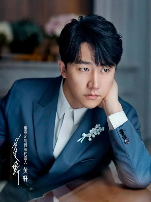 维意定制品牌代言