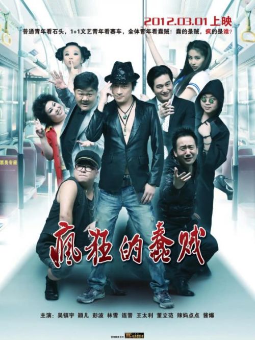 《疯狂的蠢贼》