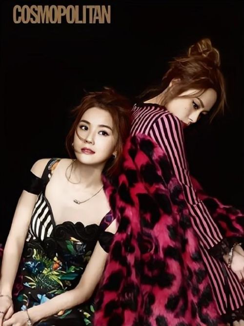 《cosmopolitan》杂志