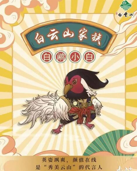 白云山家族代言