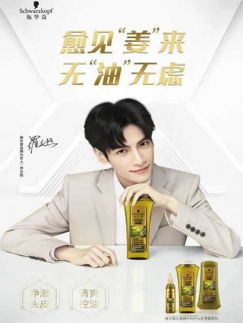 施华蔻品牌代言