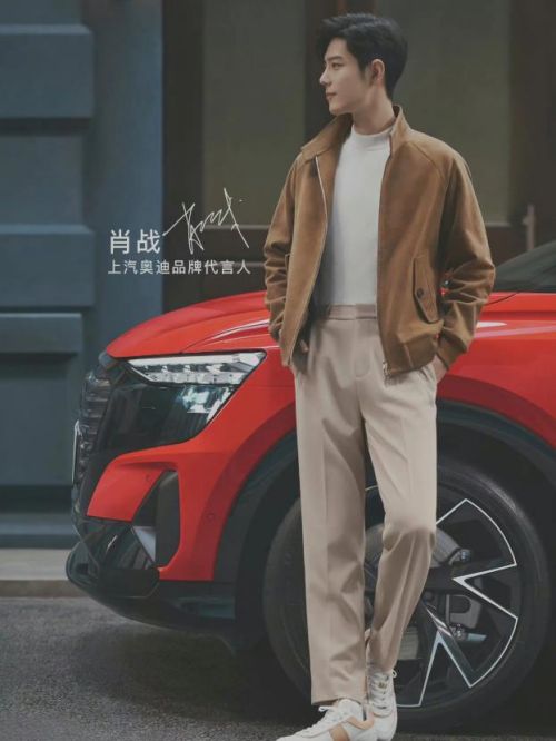 上汽奥迪品牌代言