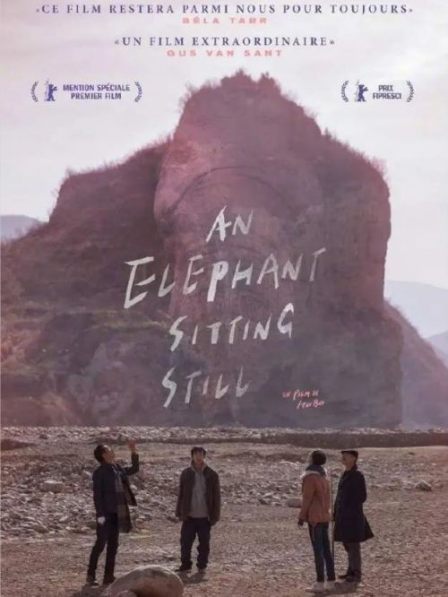 《大象席地而坐》