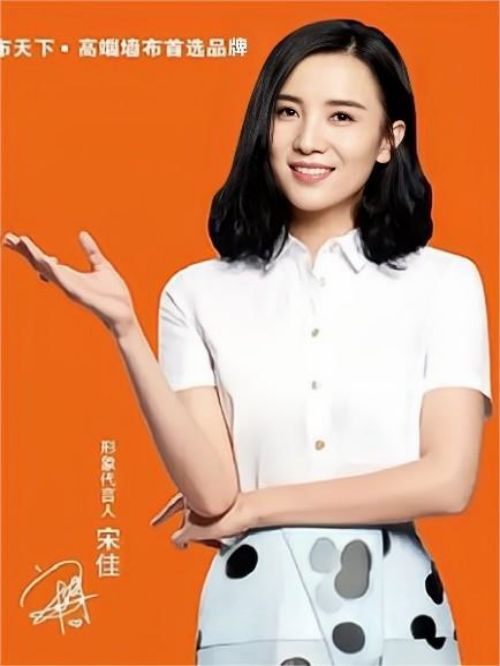 布天下墙布代言