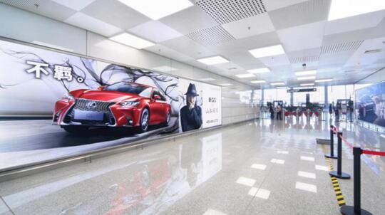 1696821089108699.jpg 65.jpg