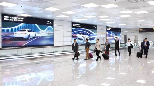 1696821451372691.jpg 74.jpg